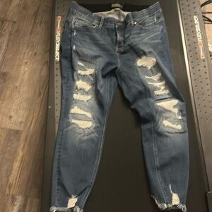 Torrid jeans